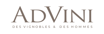 Advini